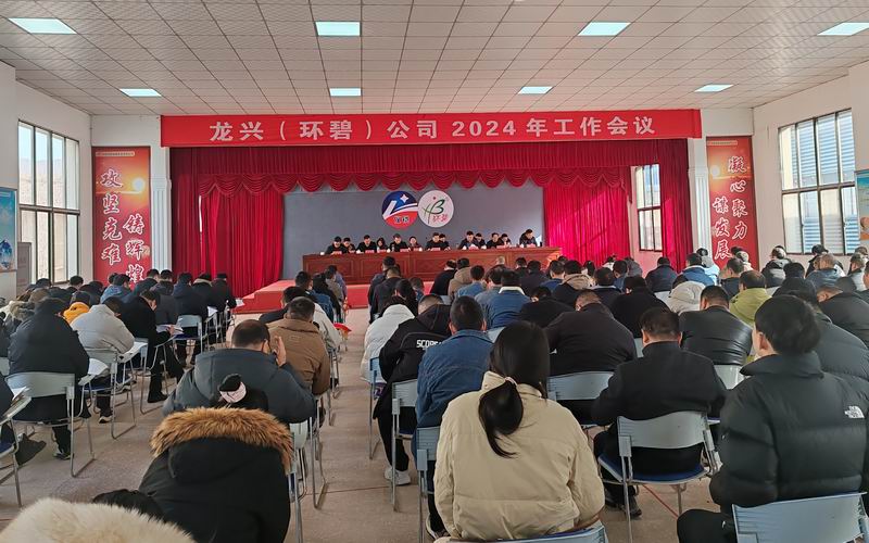 龙兴（万利平台_万利(中国)
）公司召开2024年工作会议