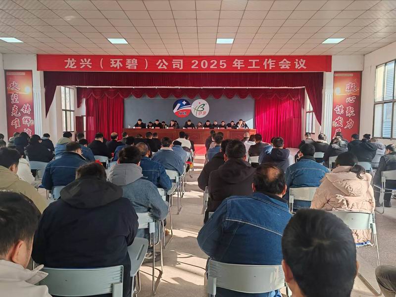 龙兴（万利平台_万利(中国)
）公司召开2025年工作会议